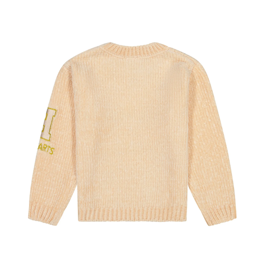 Suéter "Wizard in Training" Harry Potter (12M a 5T)