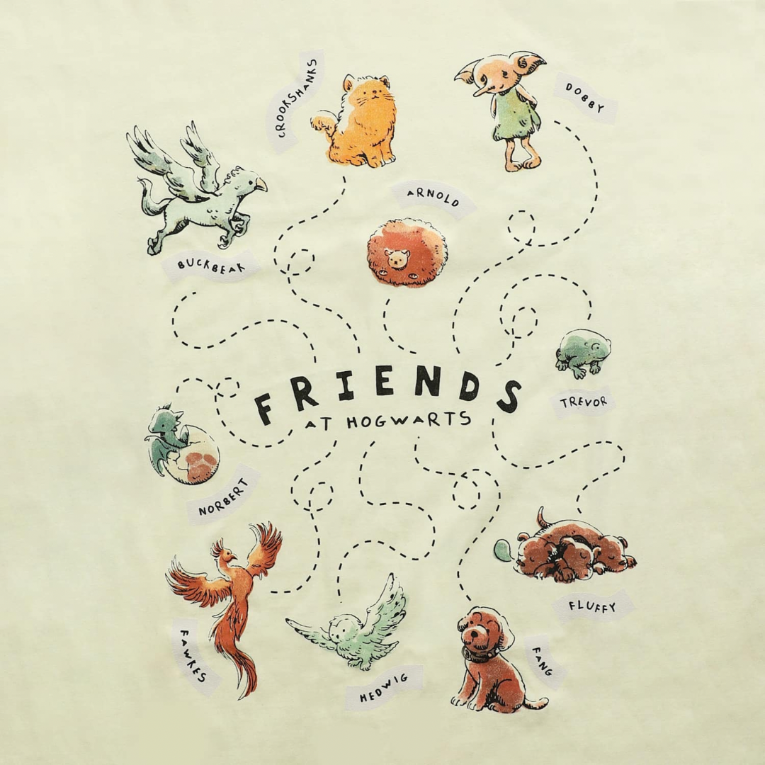Polera Friends At Hogwarts