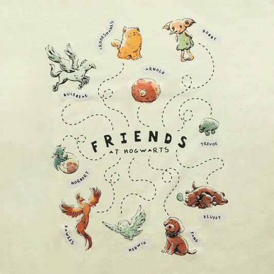 Polera Friends At Hogwarts