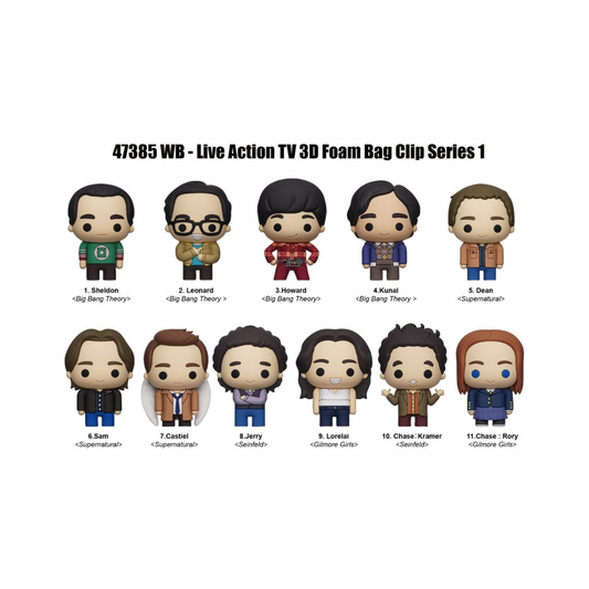 Bolsa Misteriosa Warner Bros Gilmore Girls/ The Big Bang Theory/ Supernatural/ Seinfeld