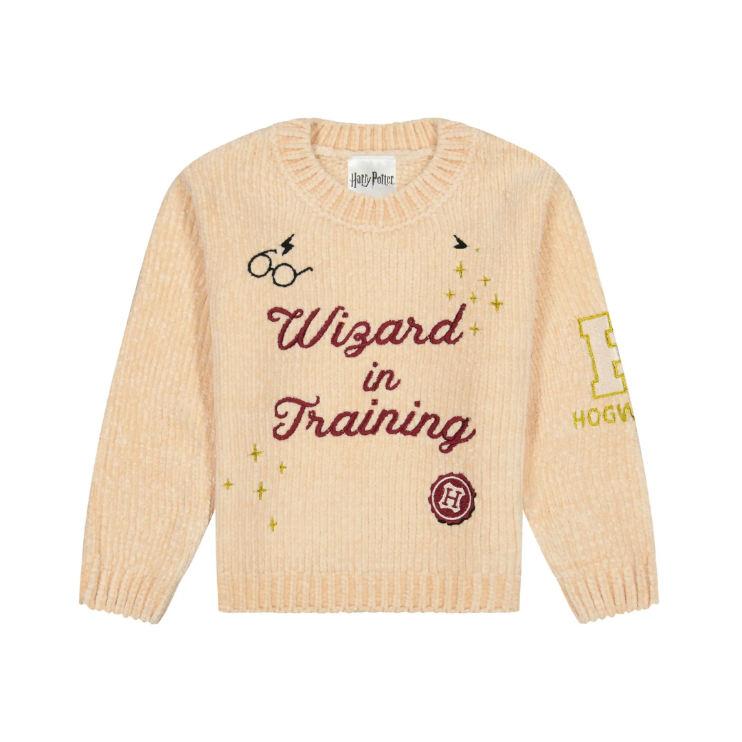Suéter "Wizard in Training" Harry Potter (12M a 5T)