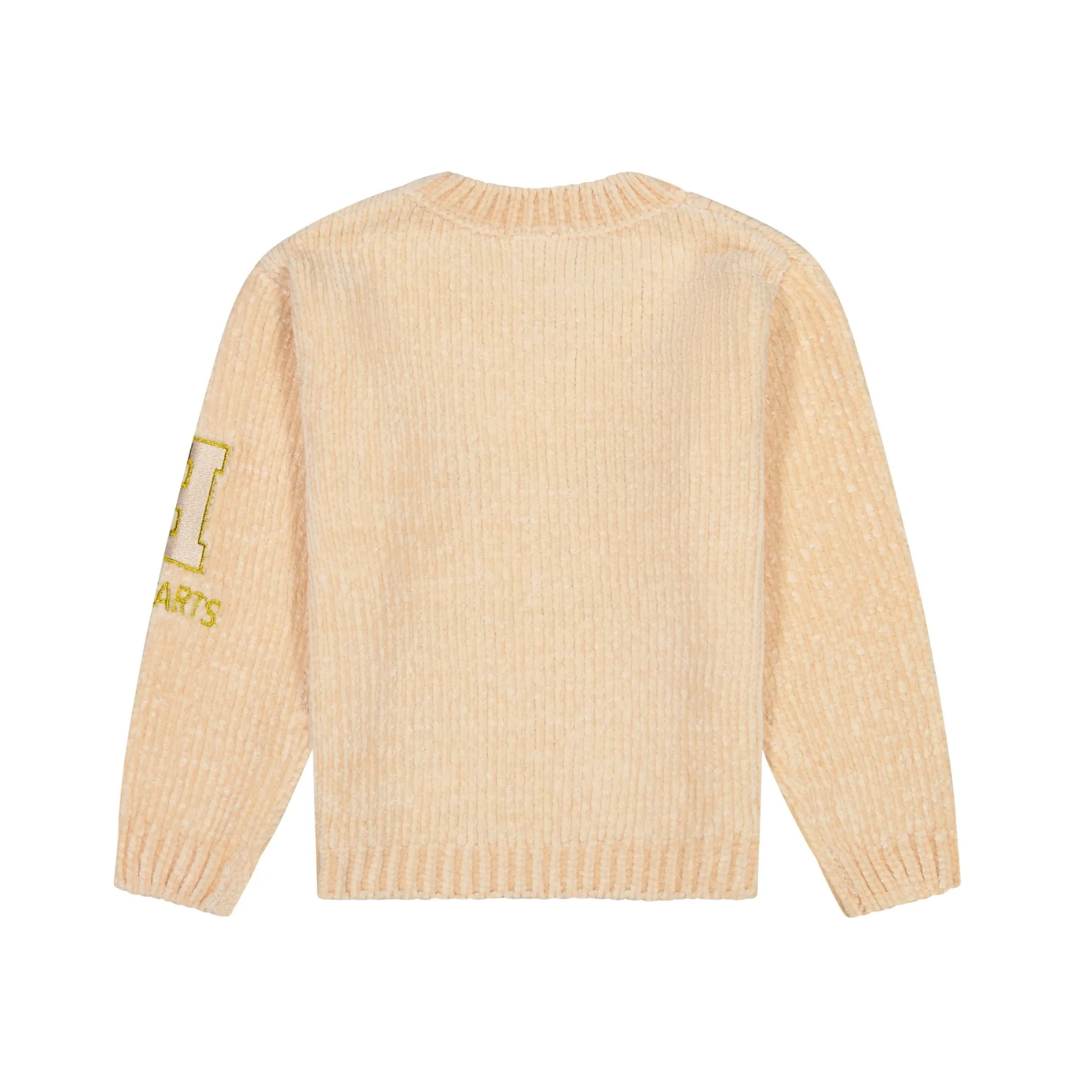 Suéter "Wizard in Training" Harry Potter (12M a 5T)