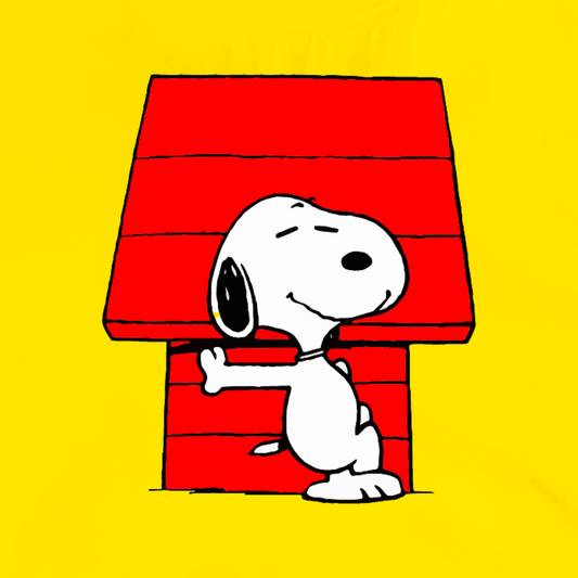 Polera Casa Snoopy