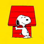 Polera Casa Snoopy