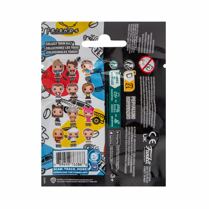 Bitty Pop Friends (Mystery Bag)
