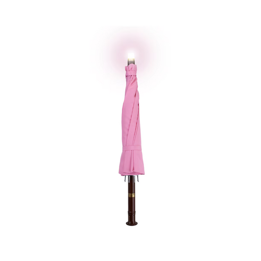 PREVENTA - Réplica de Juguete del Paraguas Rosa de Hagrid – Mundo Mágico de Harry Potter