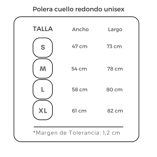 Polera Hannah Montana